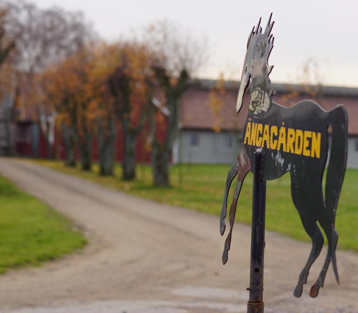 Ängagården — 5