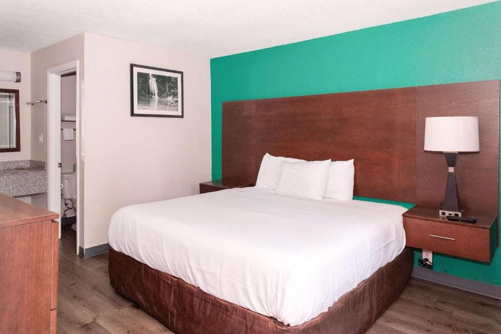 Rodeway Inn Augusta North Washington Road — 5