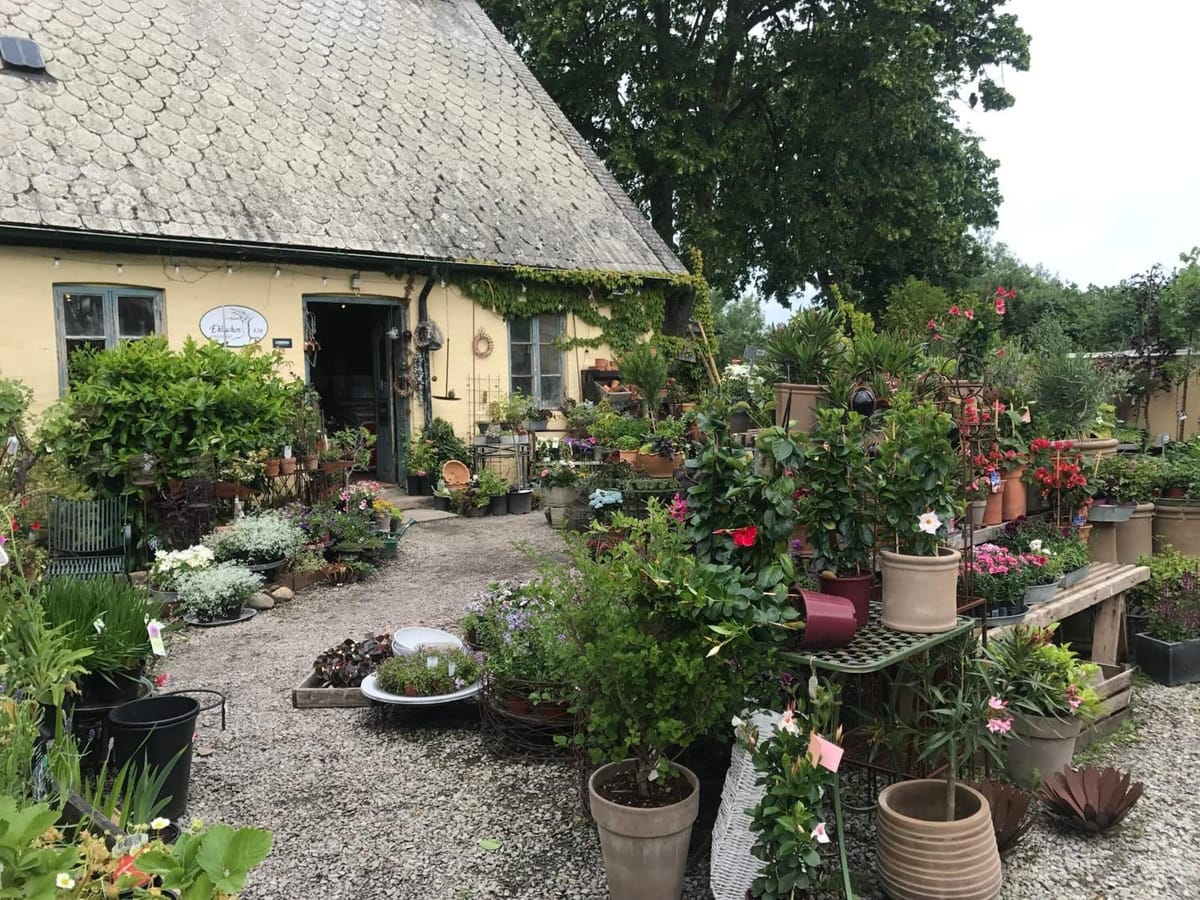 Brohuspark Bed & Breakfast — 1