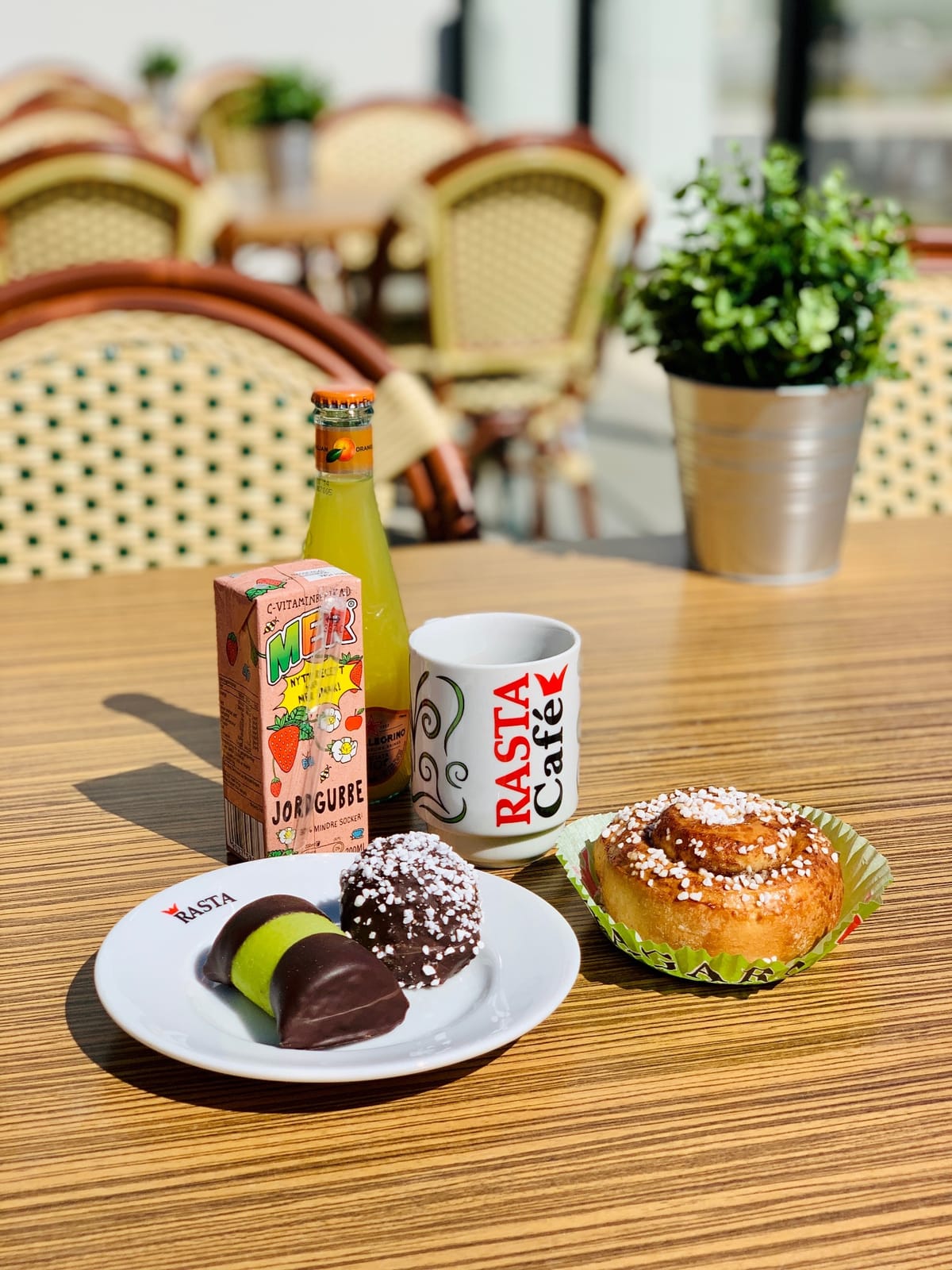 Rasta Hallandsåsen — 5