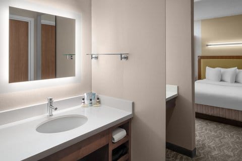 SpringHill Suites by Marriott Pittsburgh Southside Works — 5