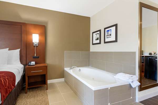 Comfort Inn & Suites Macon West — 1