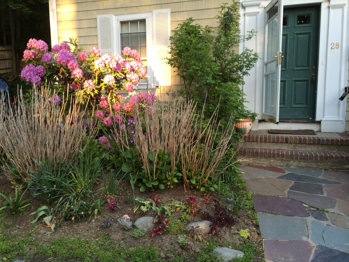 Wellesley Bed and Breakfast — 3