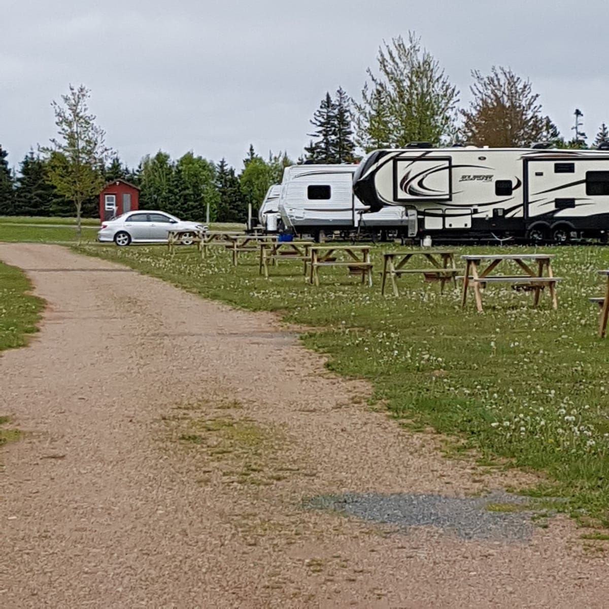 Seal Cove Campground — 1