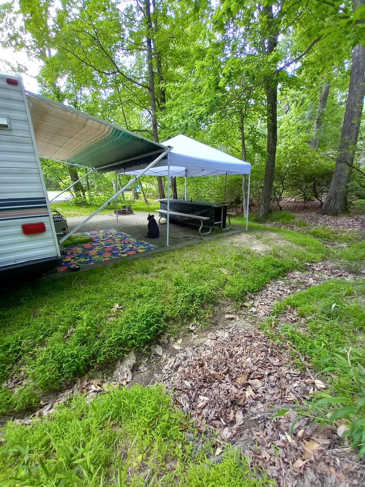 Elk Neck State Park Campground — 3