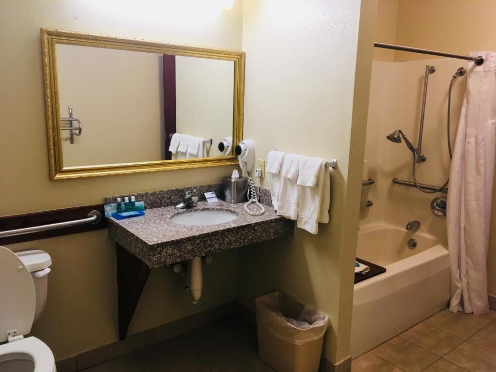 Holiday Inn Express Hotel & Suites Cadillac by IHG — 3