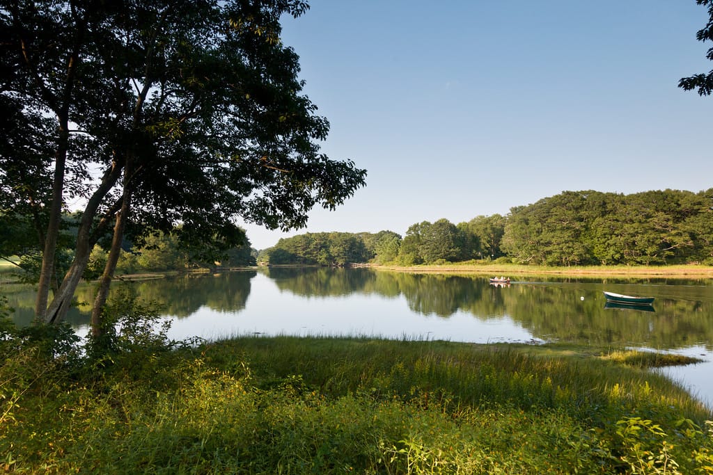 Bufflehead Cove Bed & Breakfast — 2