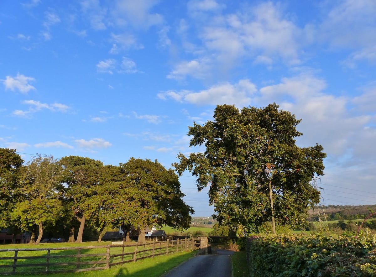Greenfields Llanwen — 2