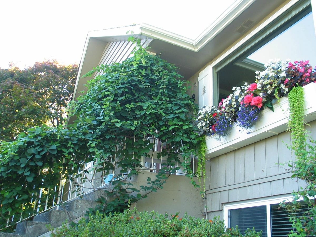 Above the Sound Bed & Breakfast — 3
